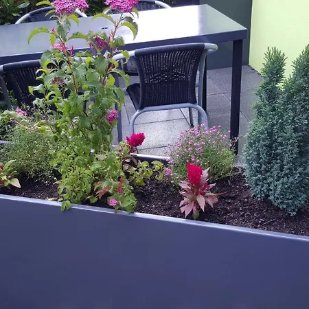 Casa de Férias Delphine